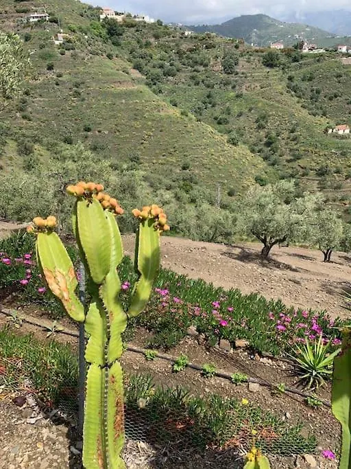 Holiday home Finca El Cisne, Torrox Villa
