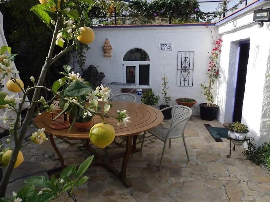 Finca El Cisne, Torrox Villa Spain