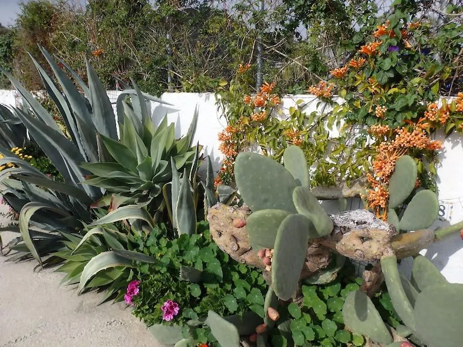 Finca El Cisne, Torrox Villa Holiday home